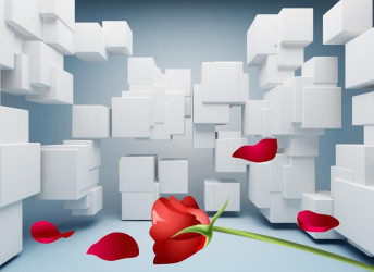 Абстрактные 3D фотообои Белые кубы и красная роза